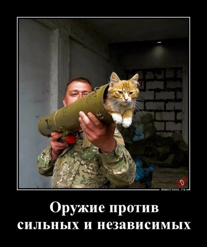 смешной демотиватор