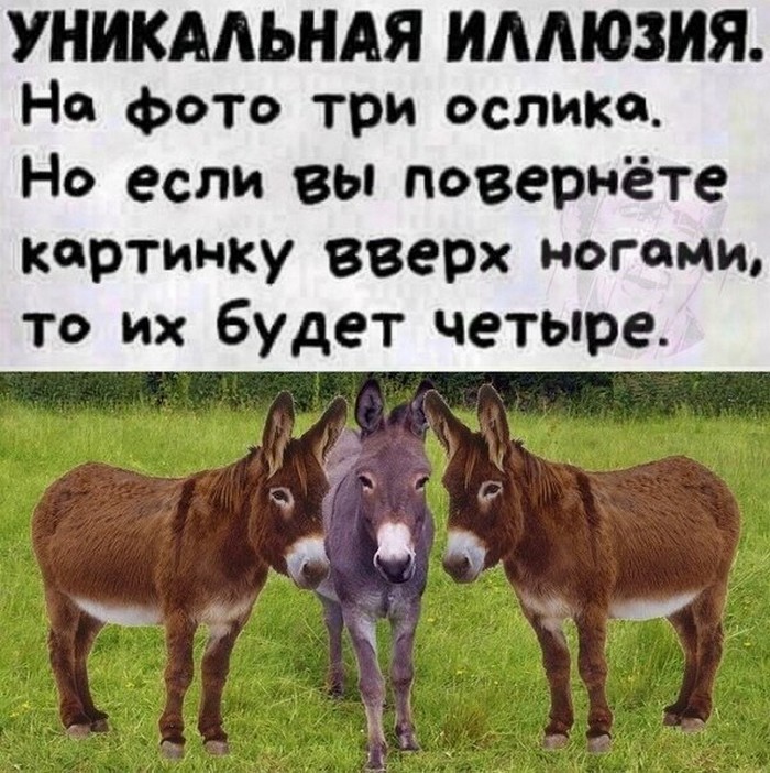 юмор картинка