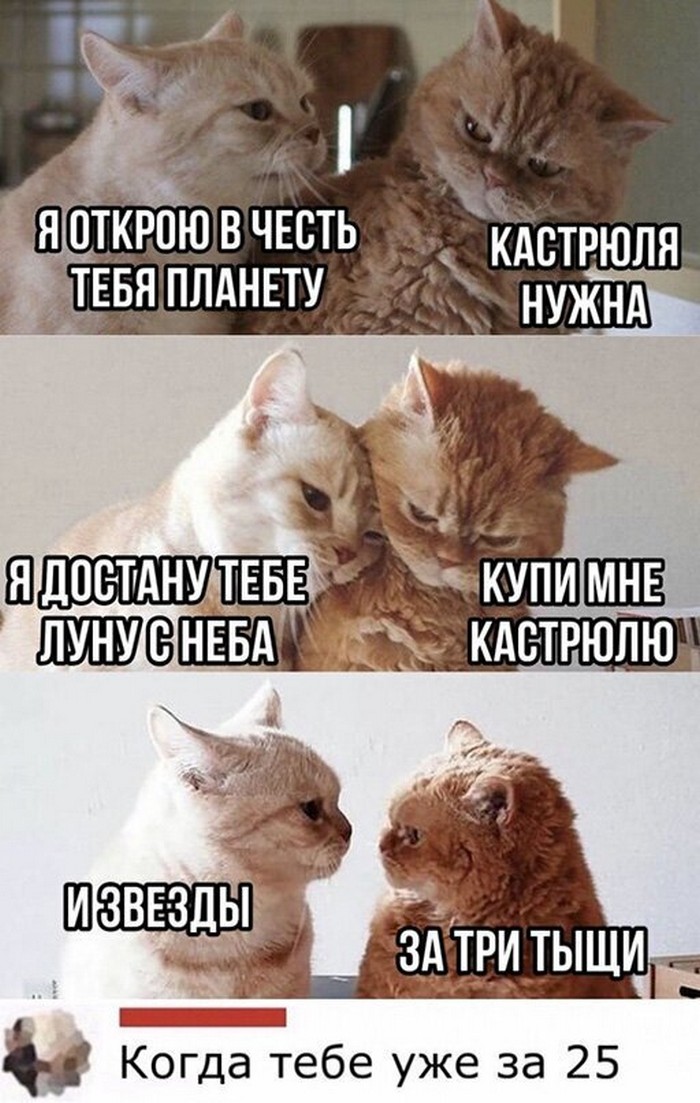 Подборка фотоприколов № 953