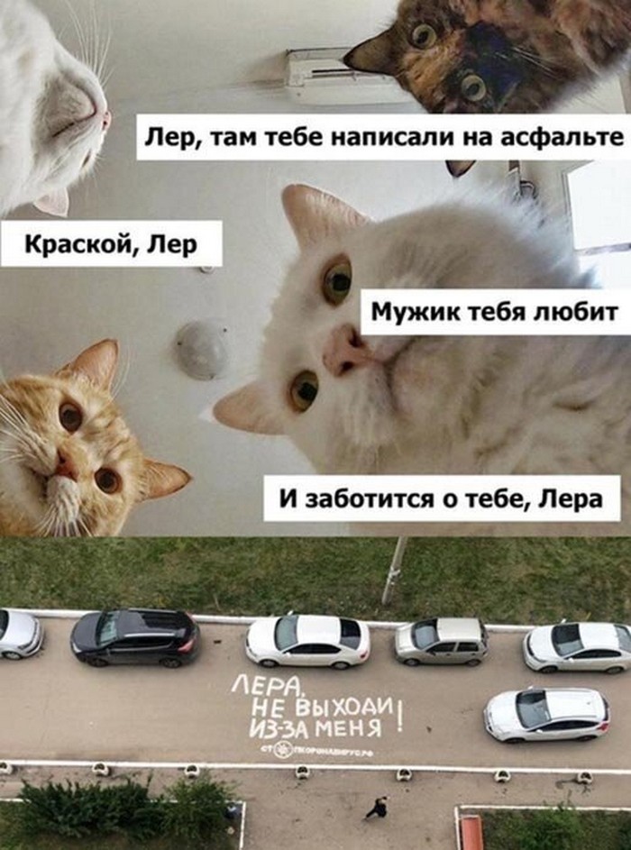 Прикольные картинки