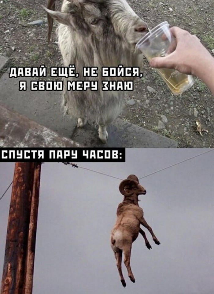 Юмор и алкоголь