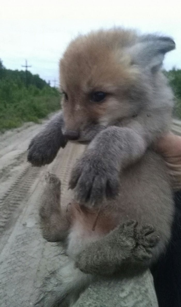 Забавные фотографии со всего мира