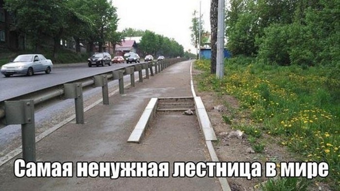 смешное фото