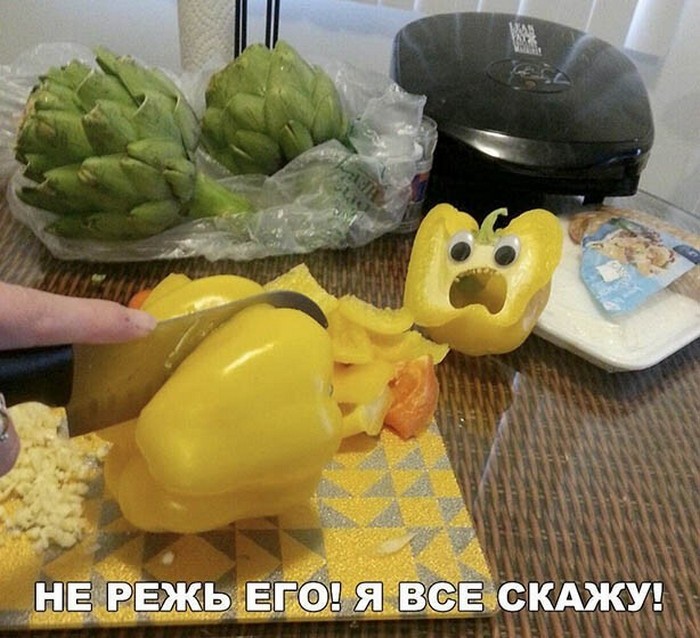 смешное фото