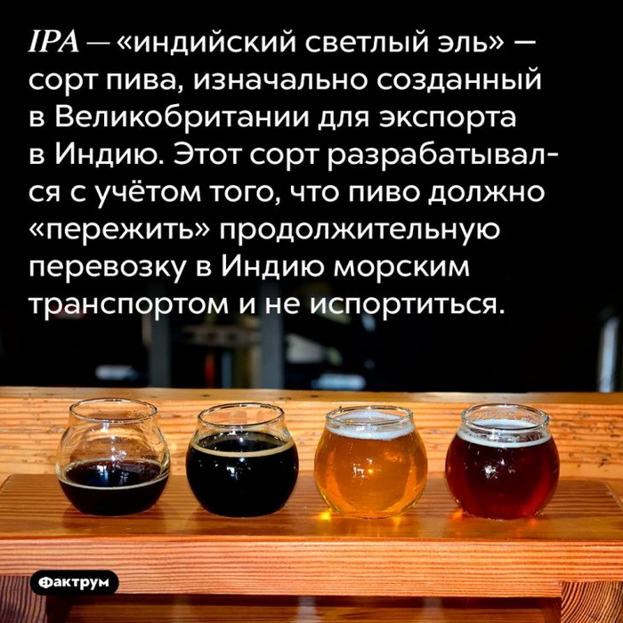 факт интересно