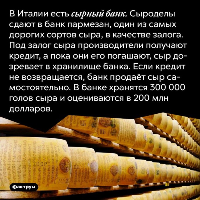 факт интересно