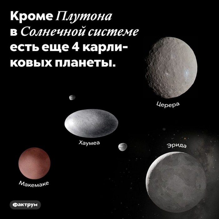 факт интересно
