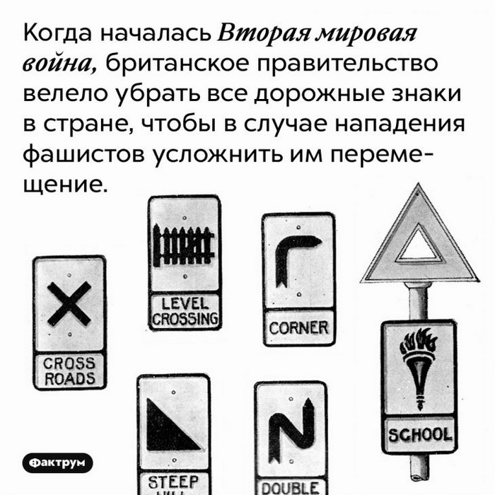 факт интересно