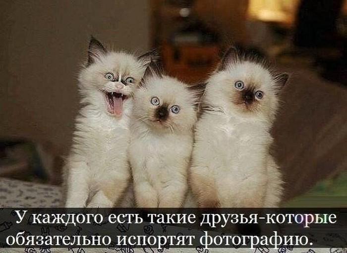 Подборка фотоприколов № 967