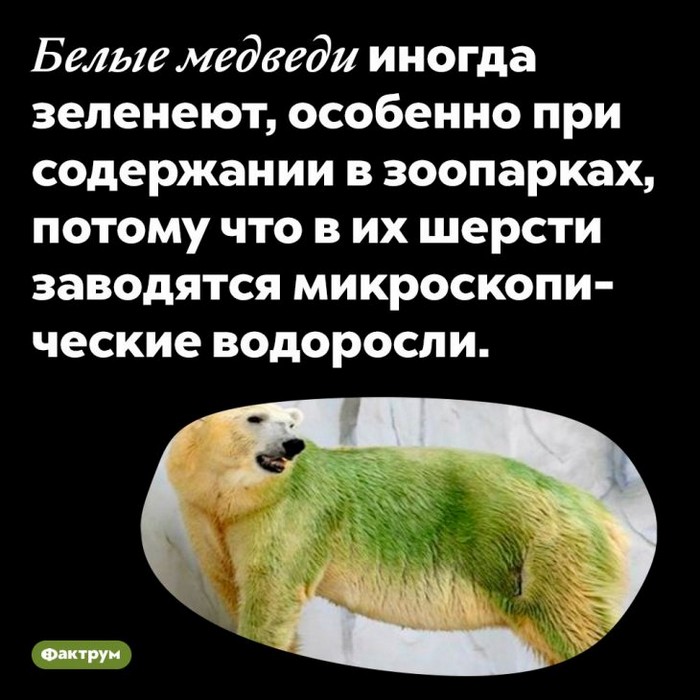 Интересные факты обо всем (очередная подборка)