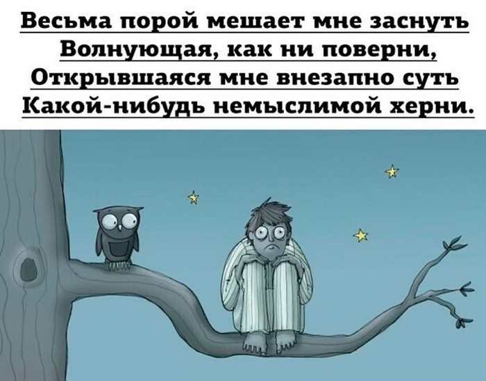 прикольная картинка