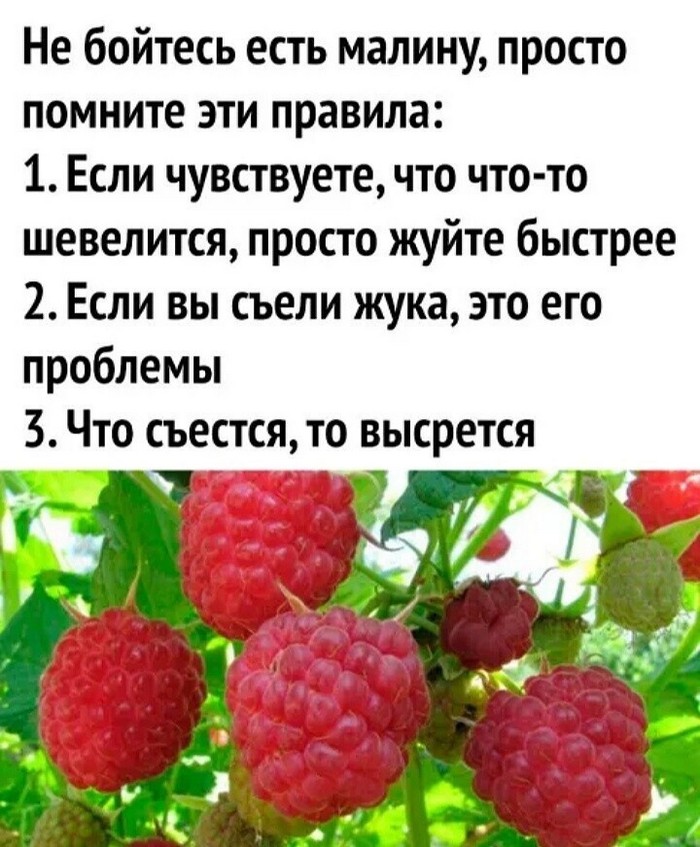 прикольная картинка