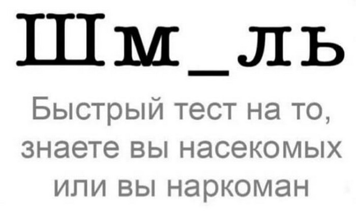 прикольная картинка