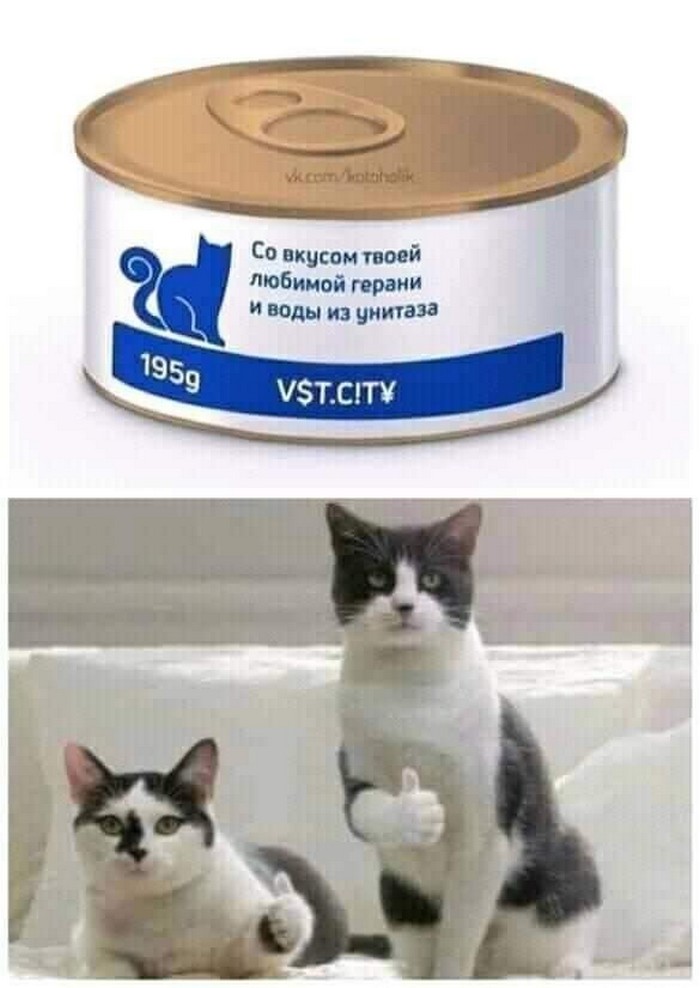 прикольная картинка