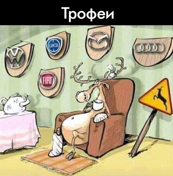 Прикольные картинки