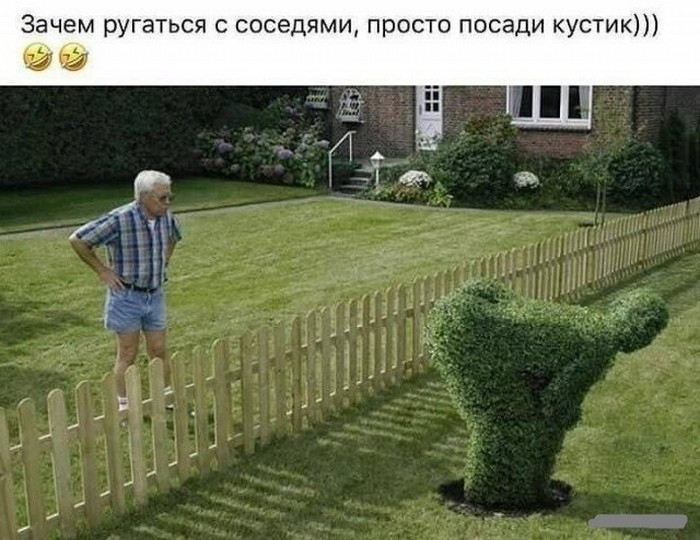 смешное фото