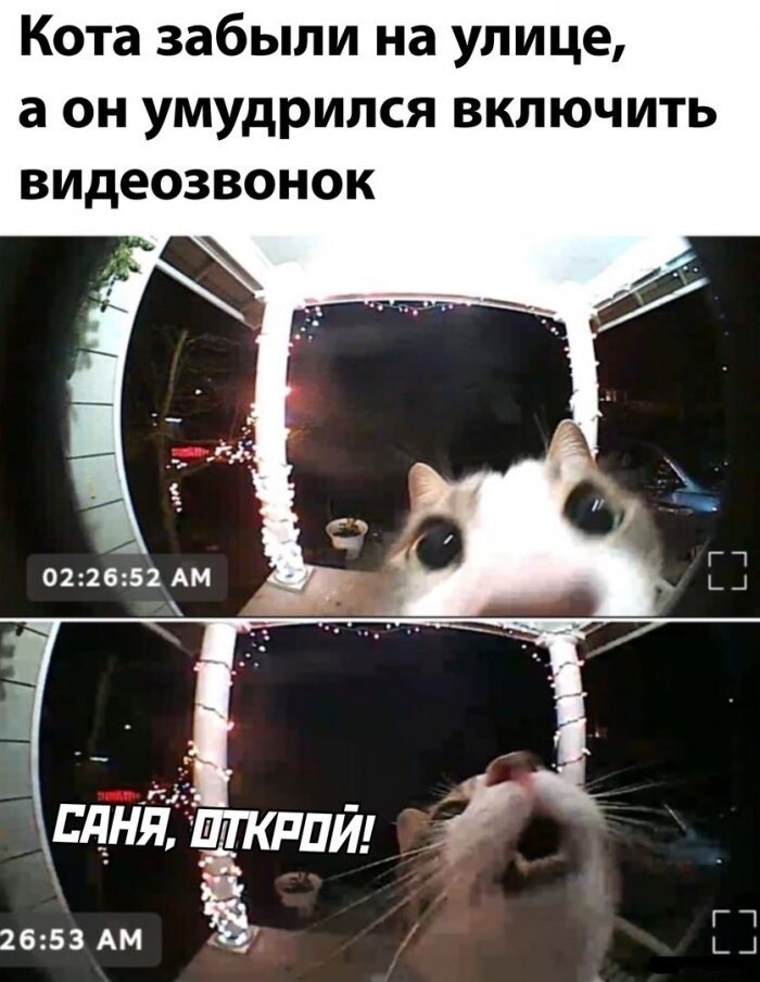 смешное фото