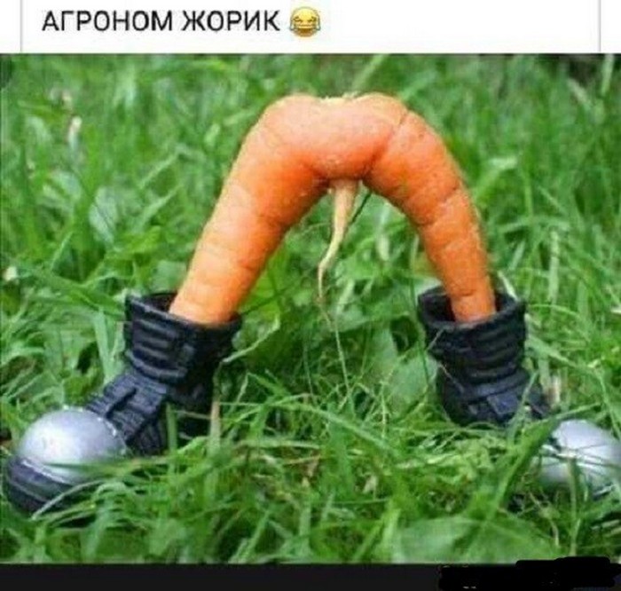 смешное фото