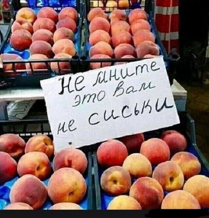 смешное фото