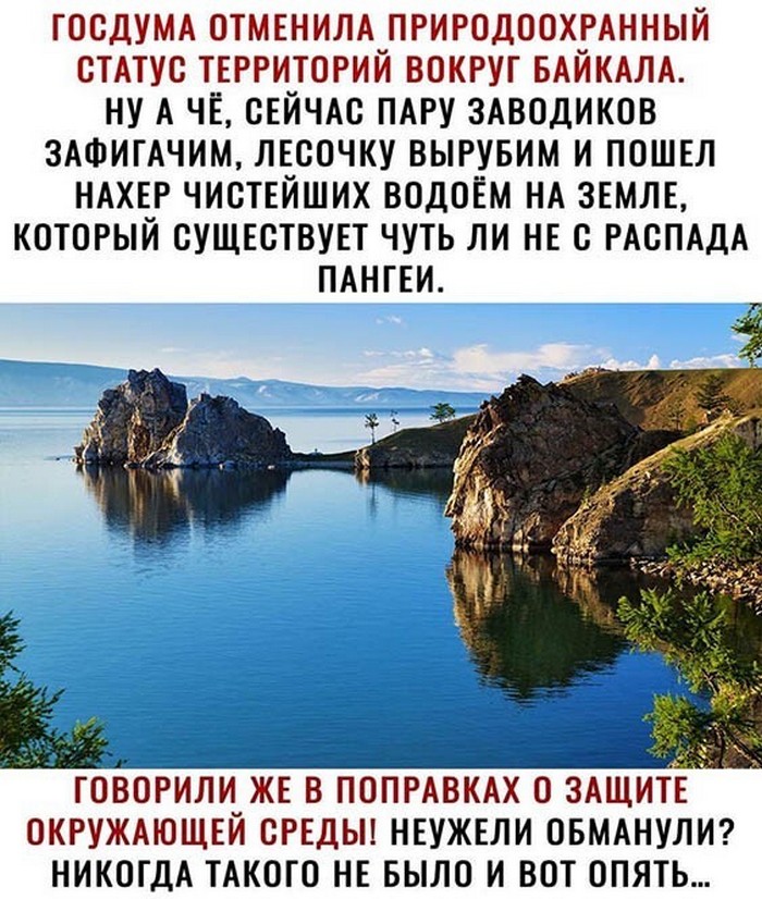 прикол картинка