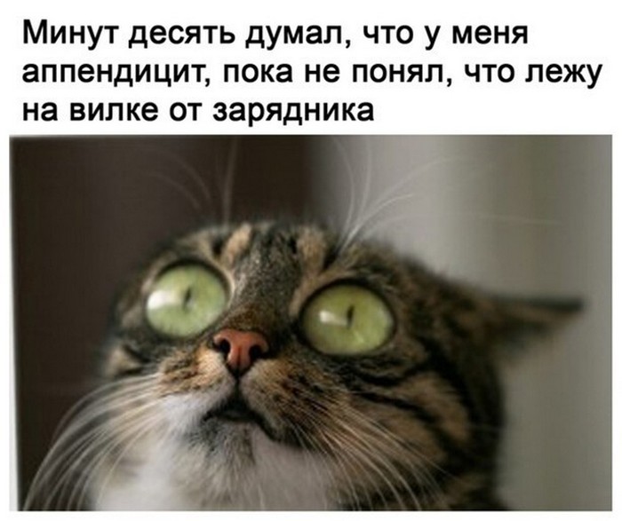 прикол картинка