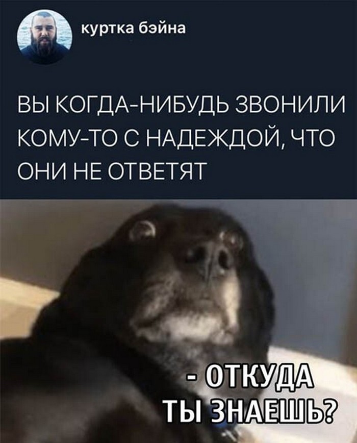 прикол картинка