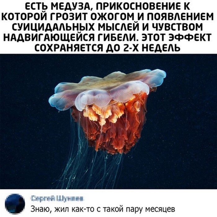 прикол картинка