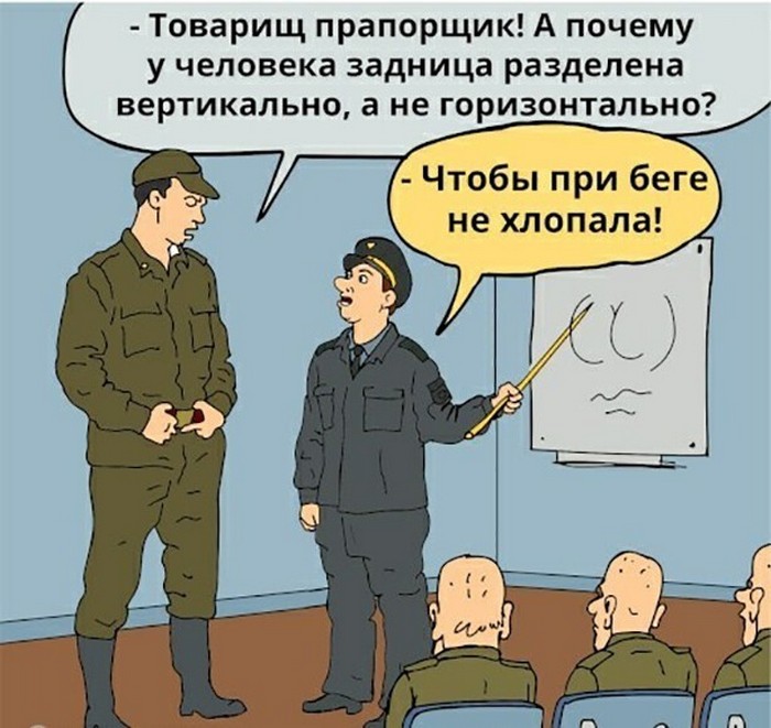 Прикольные картинки