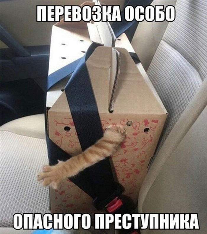 фото прикол