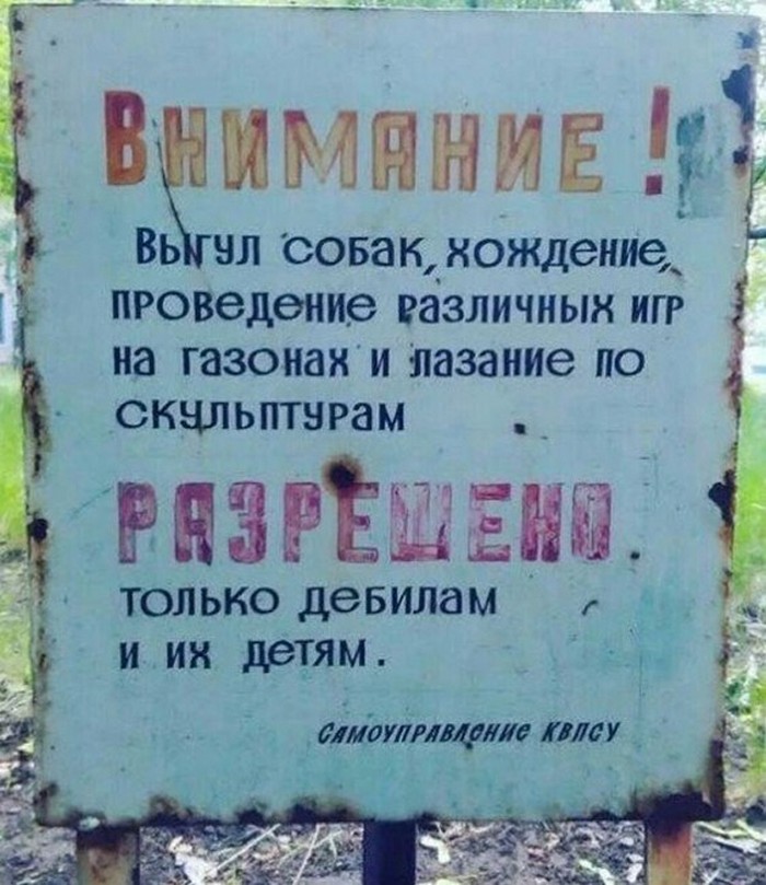 фото прикол
