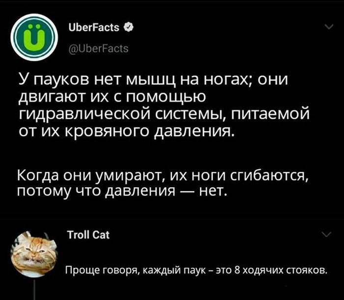 прикольная картинка с надписью