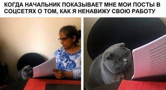 смешное фото