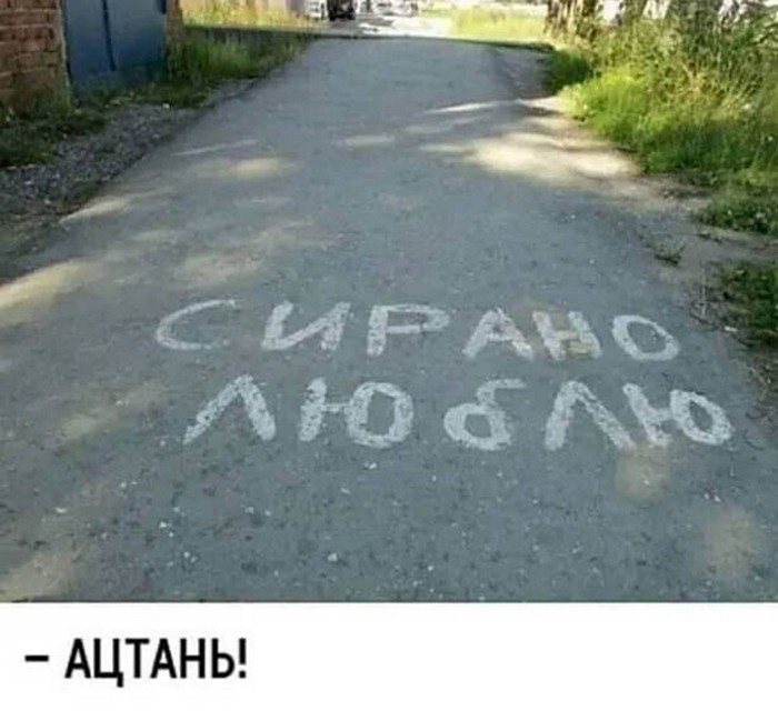 смешное фото