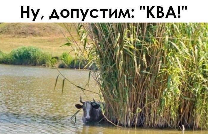 смешное фото