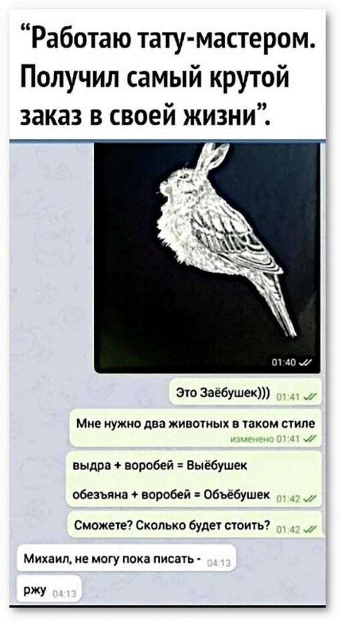 смешное фото