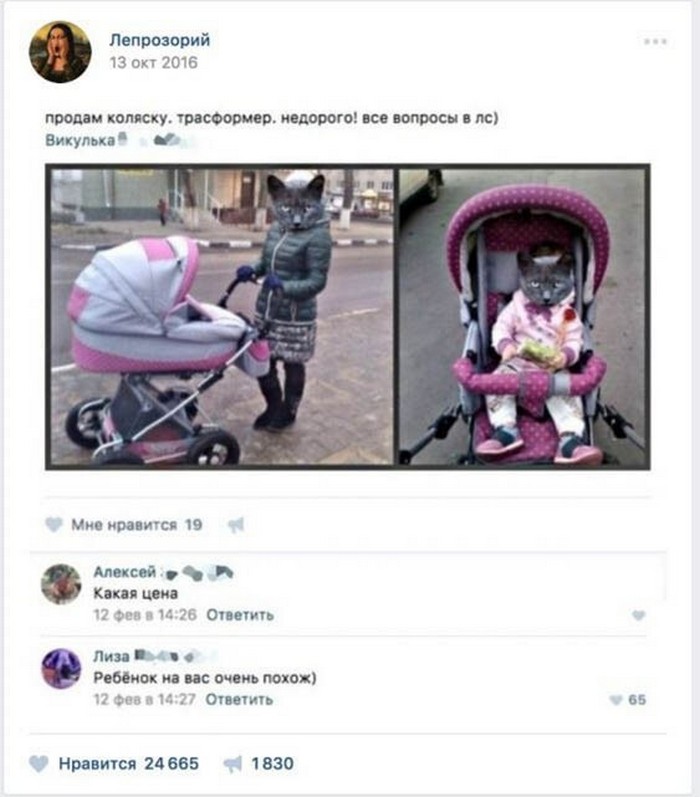 фото прикол
