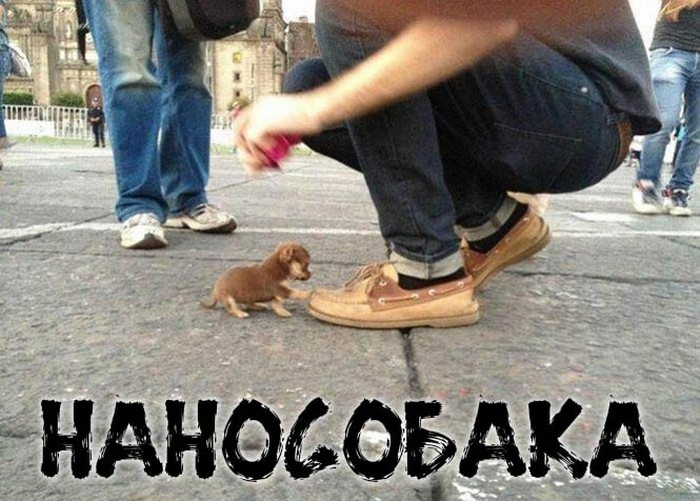 фото прикол