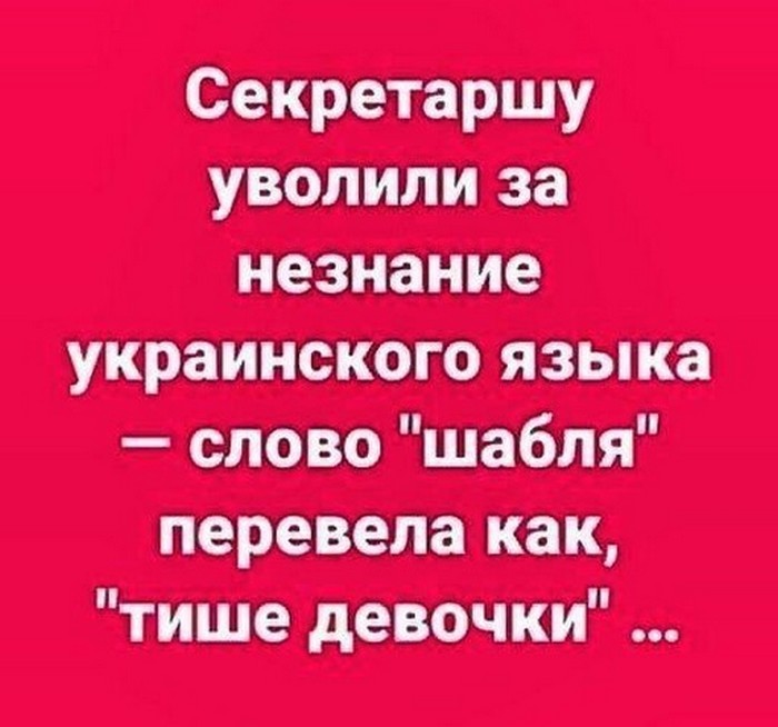 смешная картинка