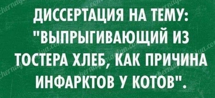 смешная картинка