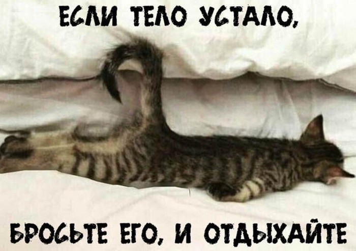веселая картинка
