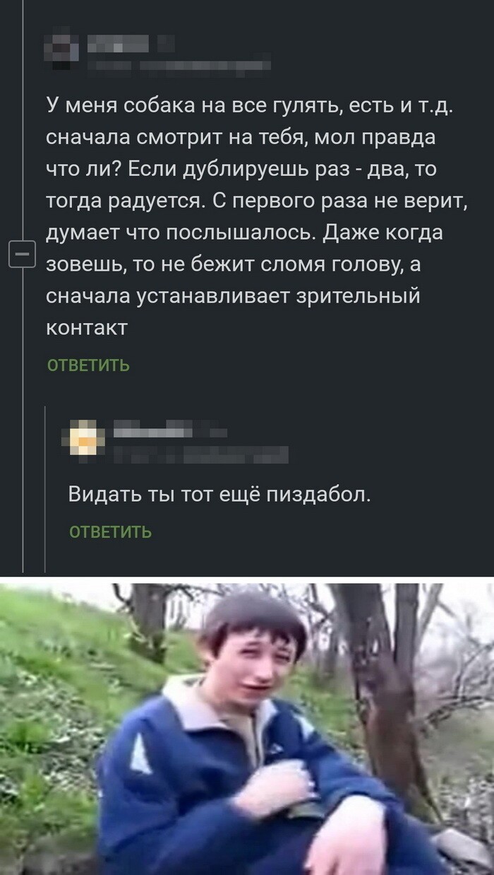 веселая картинка