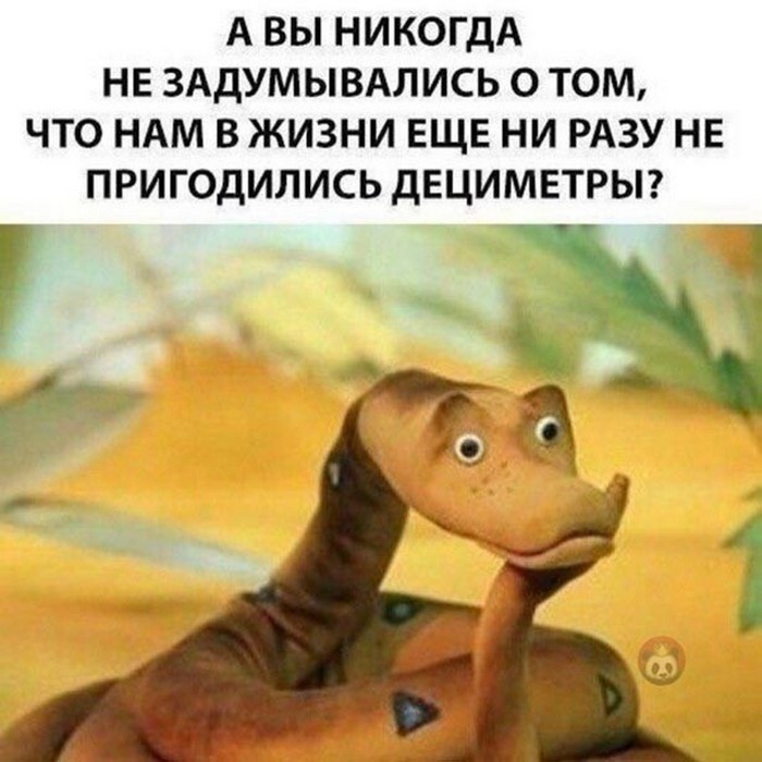 веселая картинка