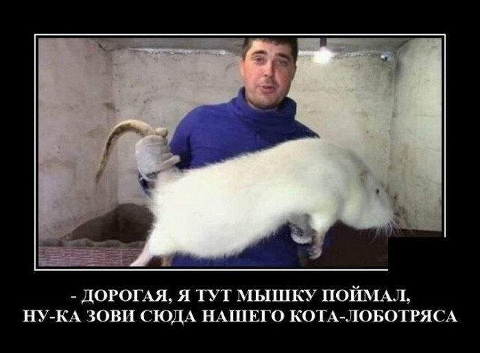 Подборка прикольных демотиваторов № 884
