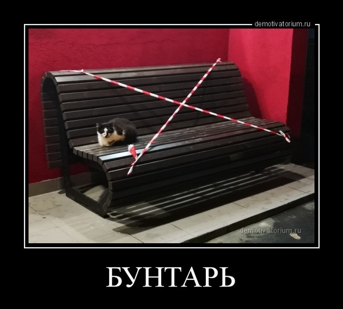 демотиватор прикольный