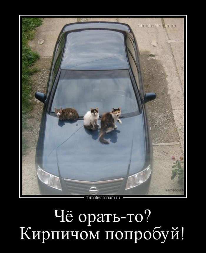 демотиватор прикольный