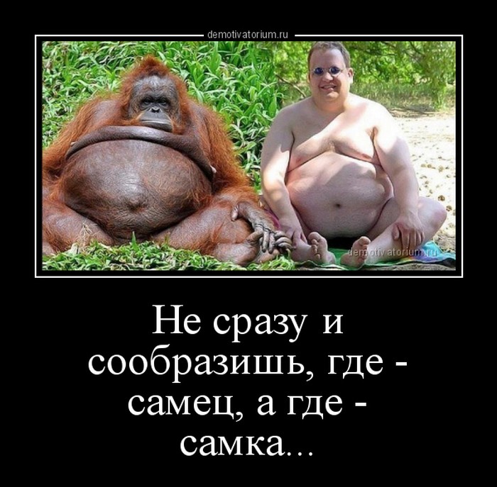демотиватор прикольный