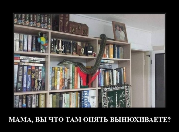 демотиватор прикольный