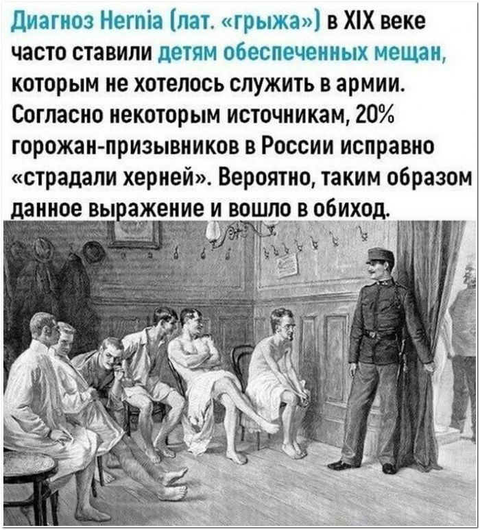 прикольная картинка