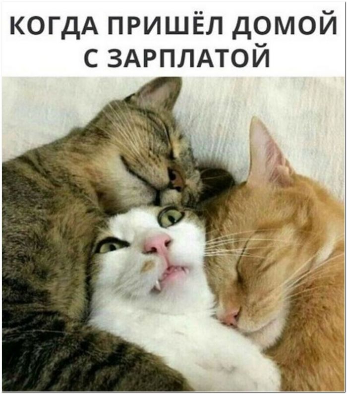 фото прикол