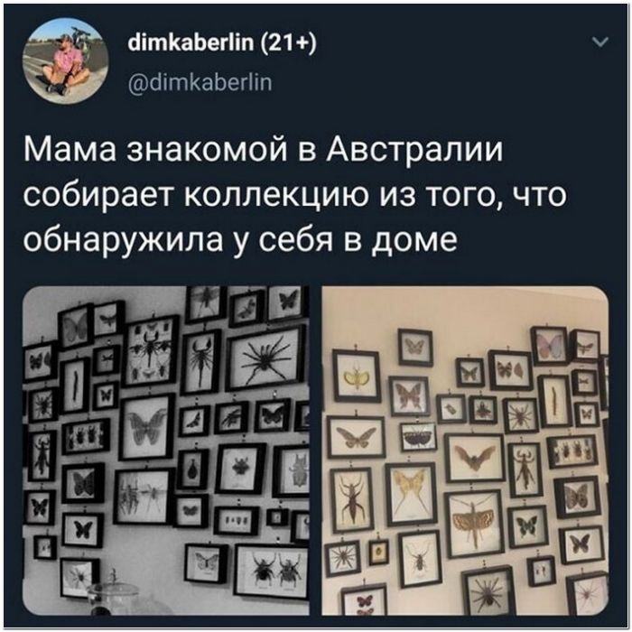 фото прикол